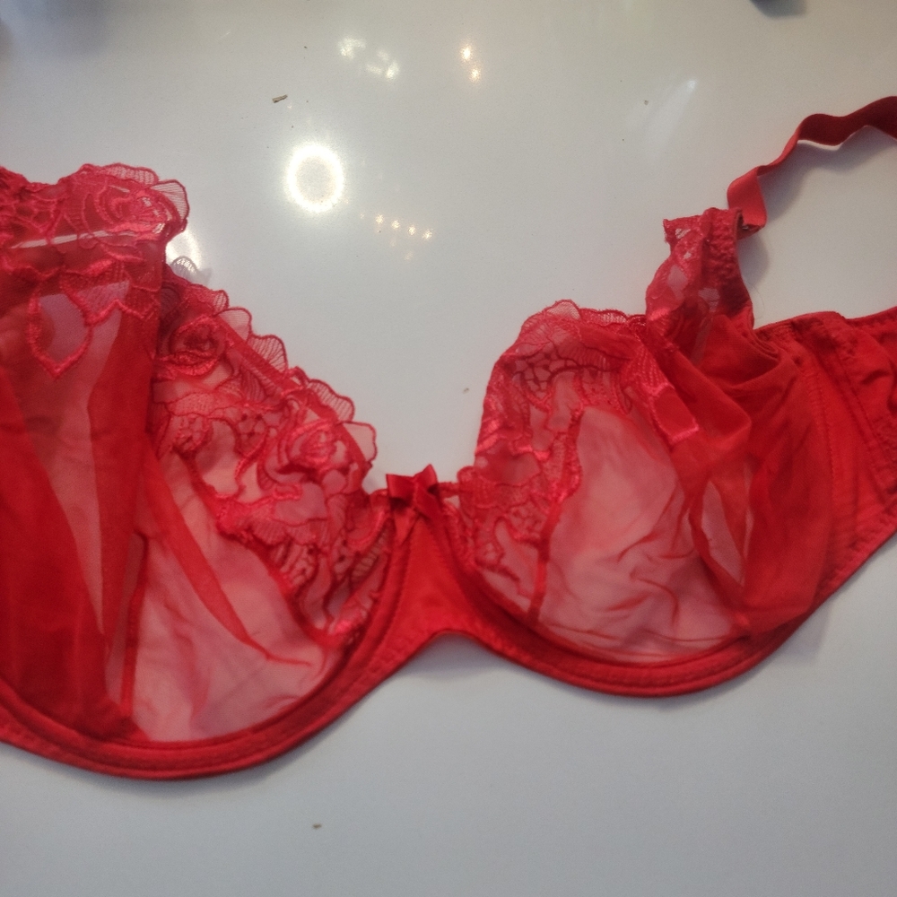 Red Lace Underwire Bra - Women Intimates 36J